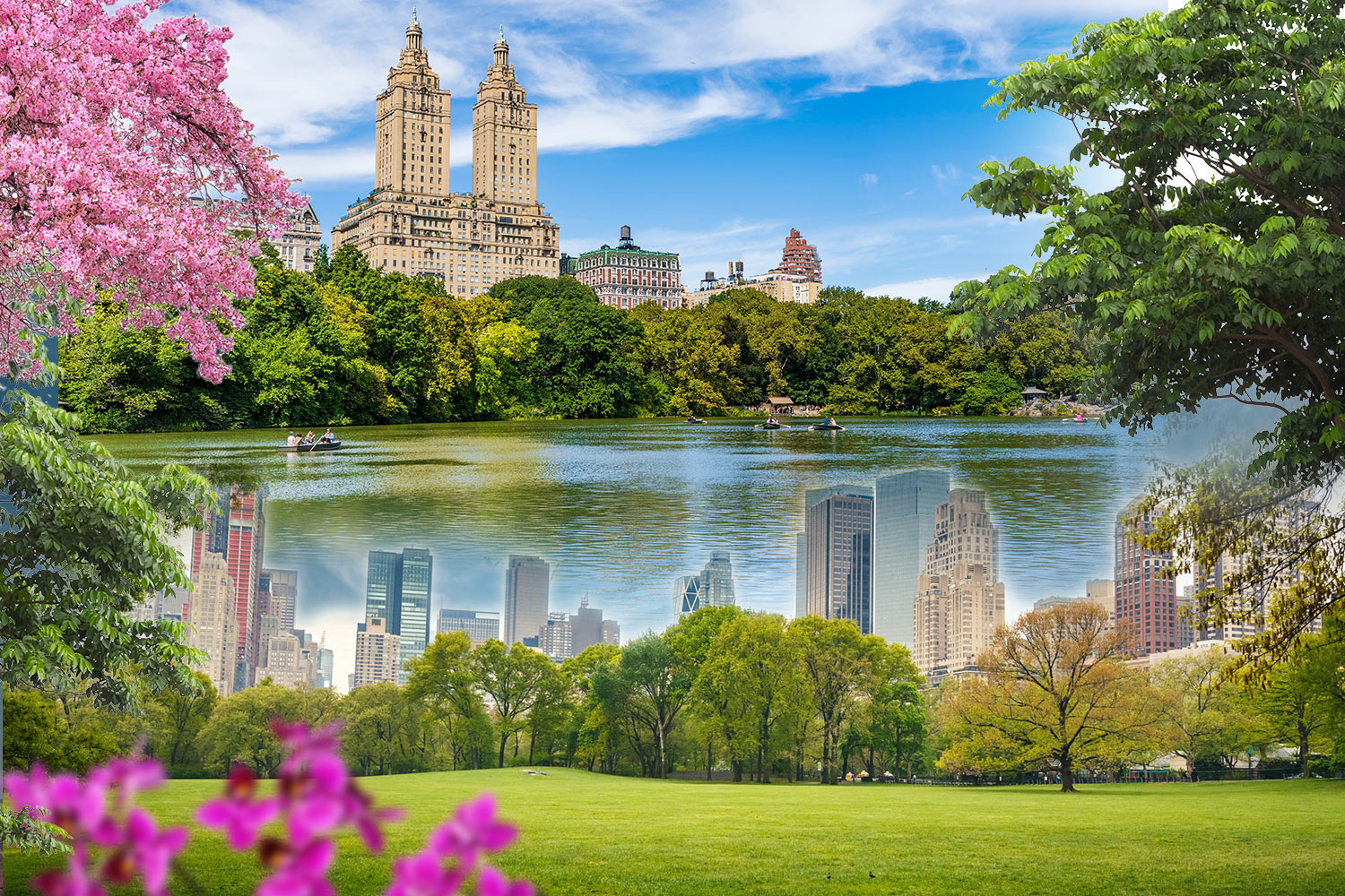 Central Park with cherry blossoms, lake, and city skyline reflection