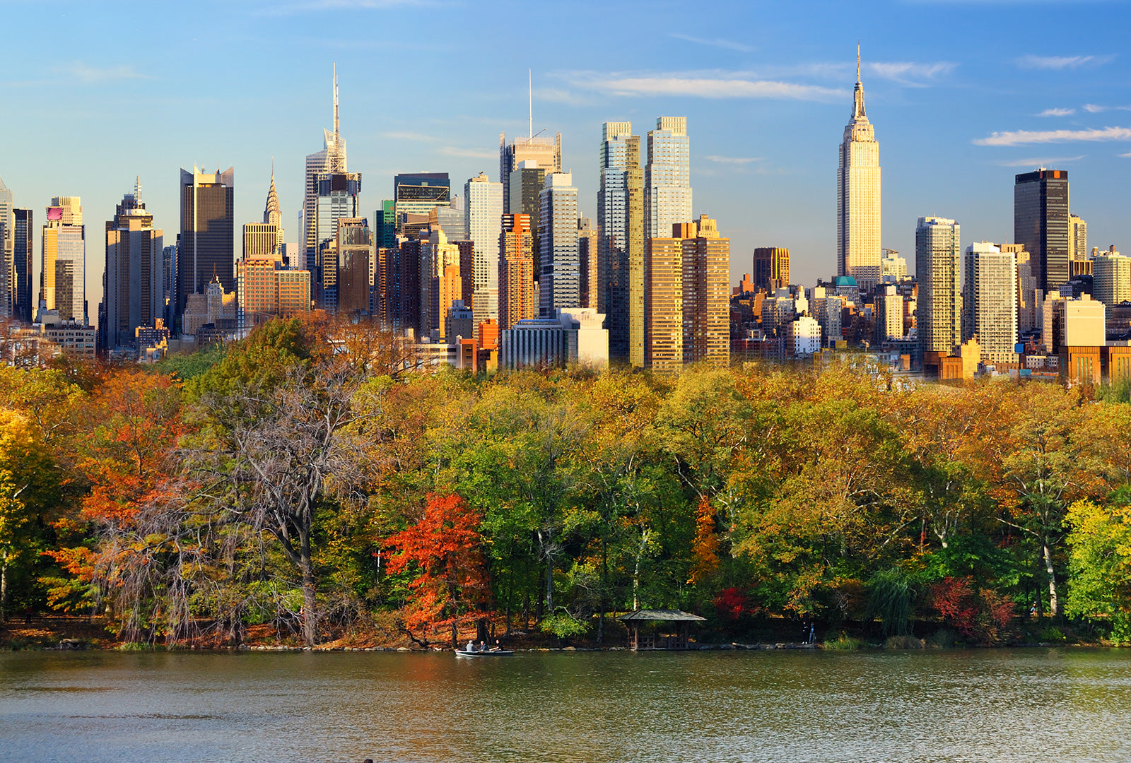 City skyline with tall buildings and trees with autumn colors in the foreground.