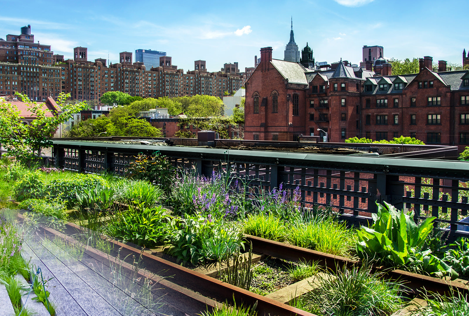 Urban landscape with greenery on elevated train tracks and city skyline in the background