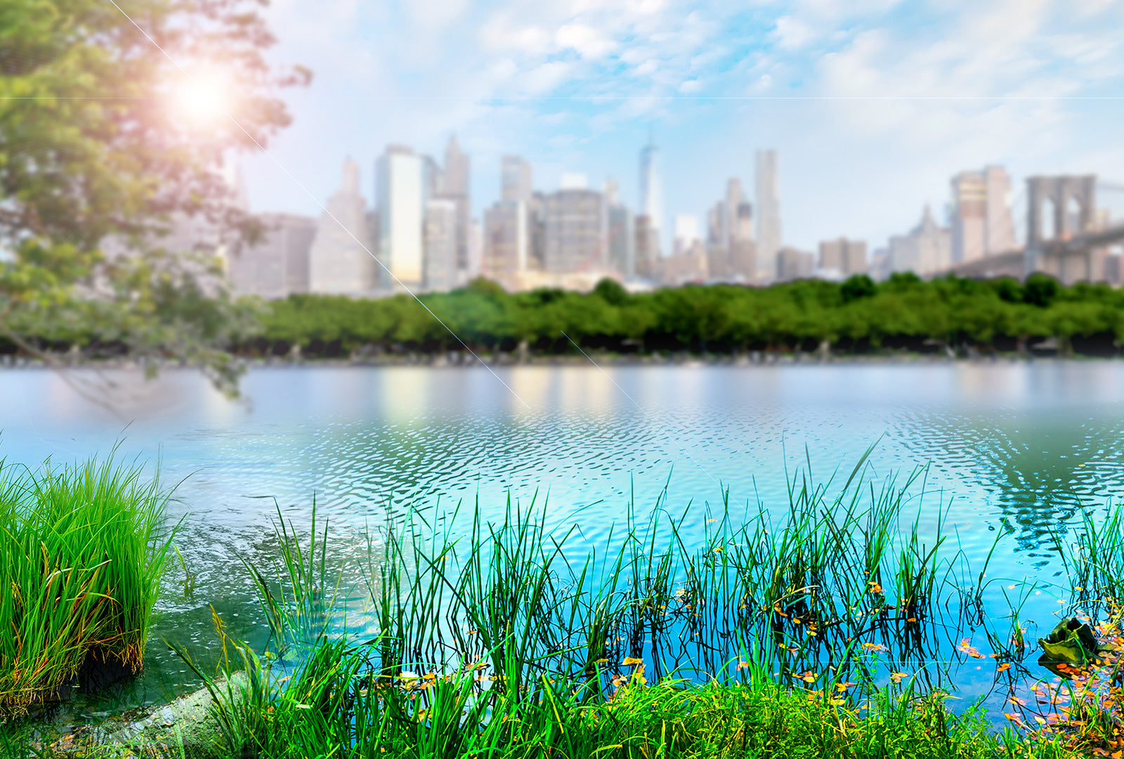 City skyline with a lake and greenery