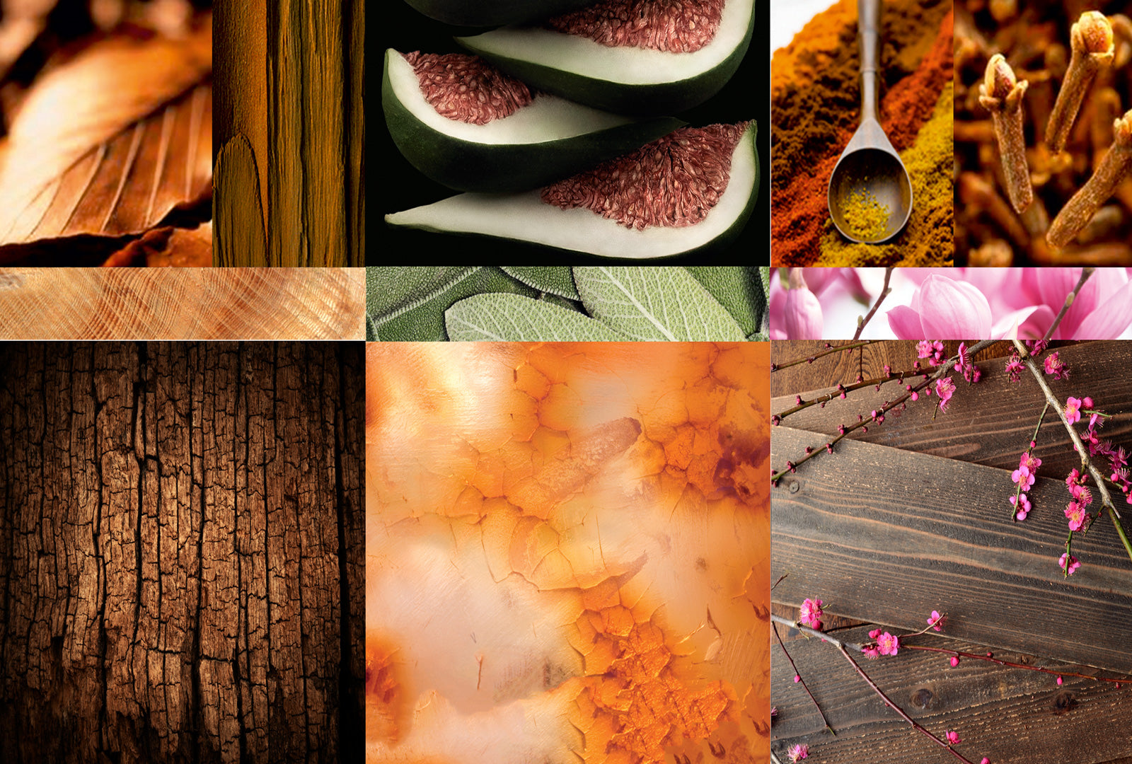 Collage of various natural elements including figs, leaves, wood textures, and flowers.