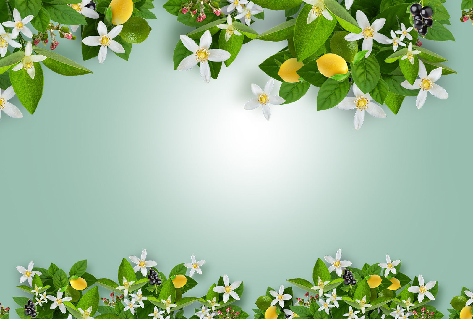 Decorative border of flowers, leaves, and fruits on a light green background