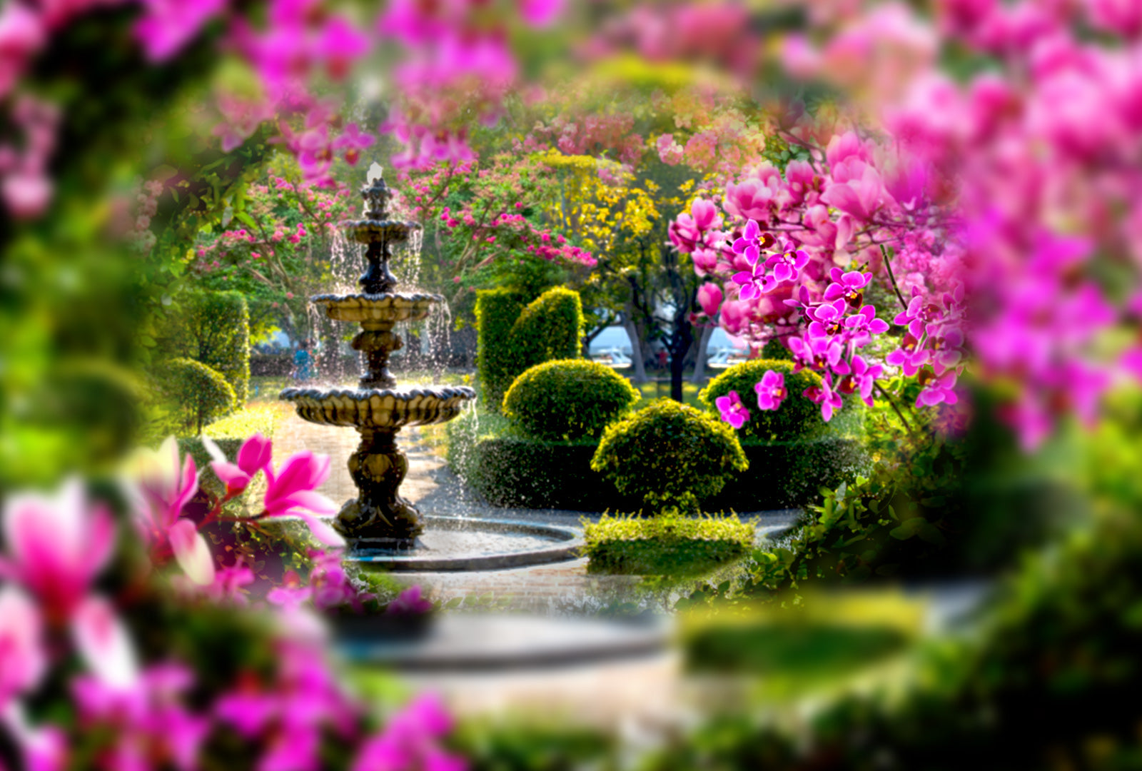 Fountain in a garden surrounded by pink flowers
