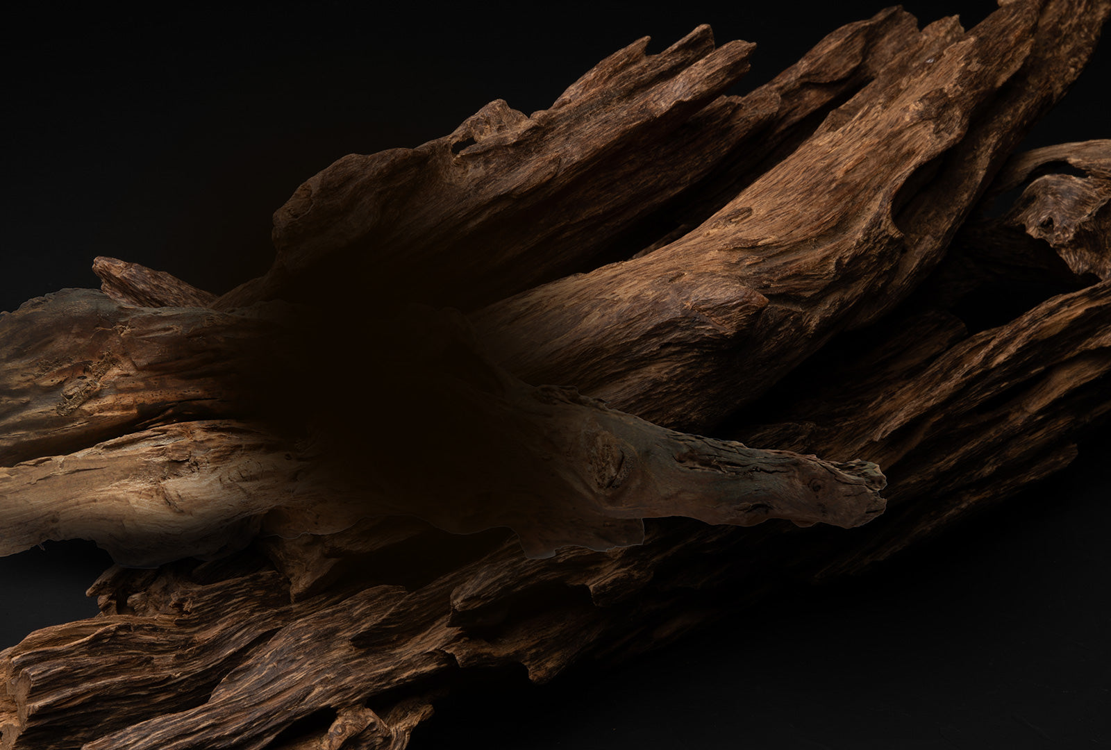Close-up of a piece of dark brown driftwood against a black background