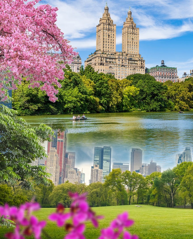 Central Park with cherry blossoms, lake, and city skyline reflection