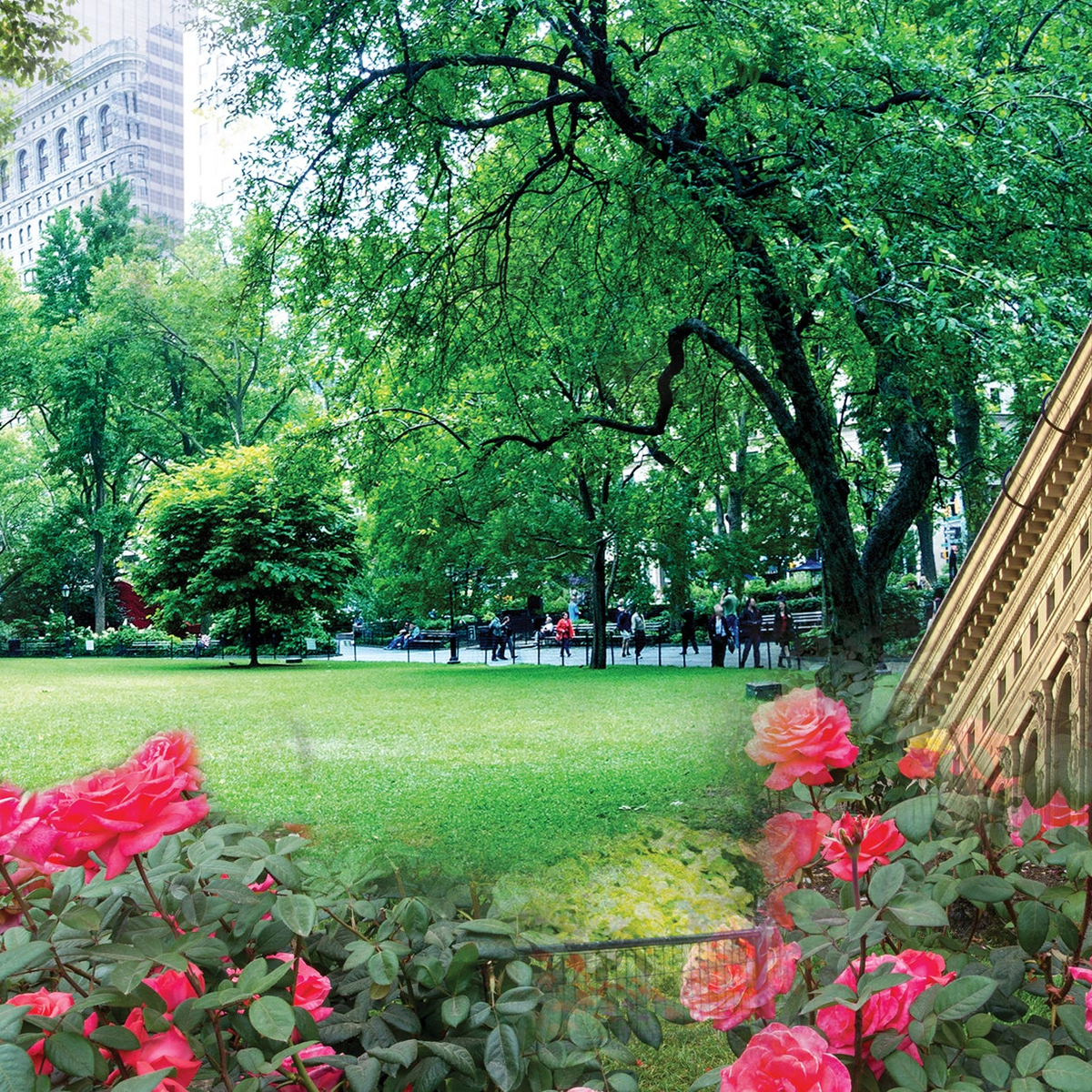 Madison_Square_Park.png?crop=
